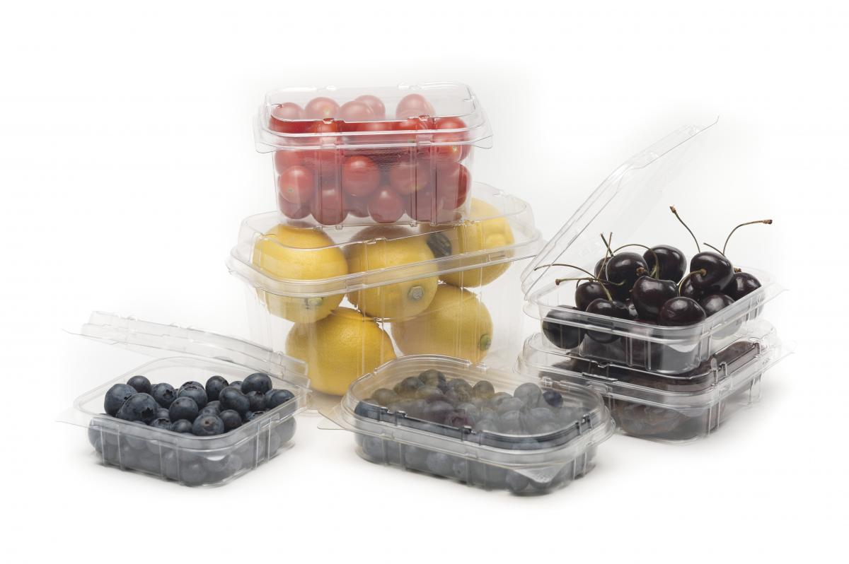 100% Recyclable RPET Punnets - Punchbowl Packaging - Designed By ...